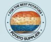 Potato Suppliers in the Netherlands